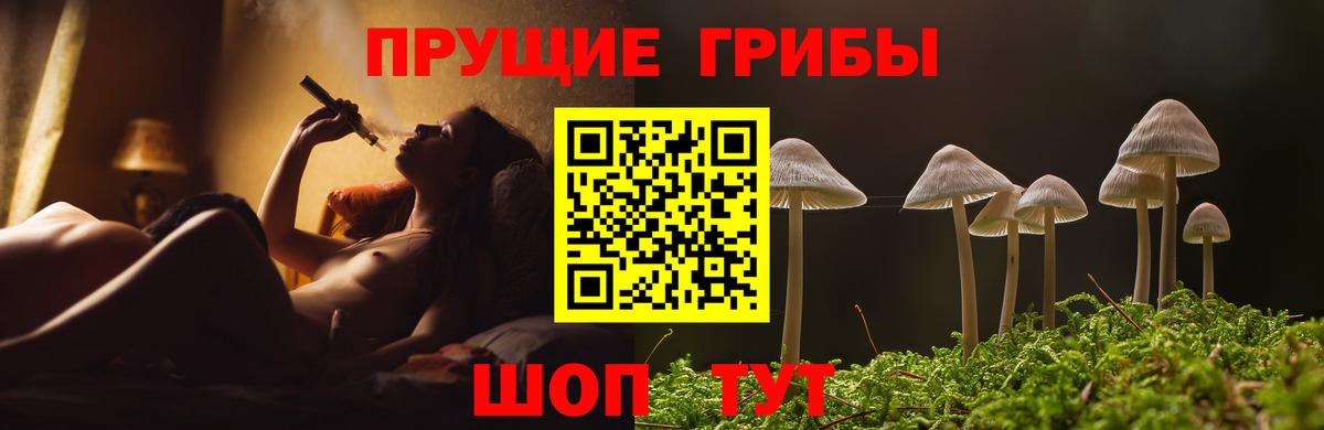 Королёв  Галлюциногенные грибы ЛСД  где можно купить   Галлюциногенные грибы MAGIC MUSHROOMS  Вход с VPN 